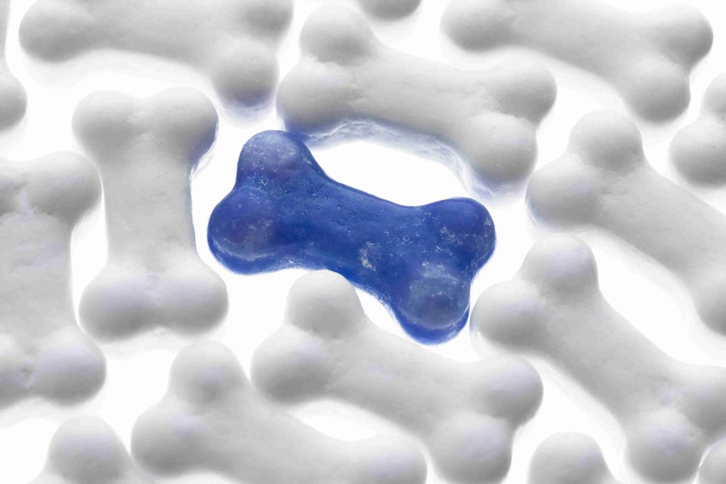 Cissus quadrangularis in Bone Density and Structural Health: A Botanical Approach to Skeletal Support a close up horizontal image of blue candy surround 2026 01 11 09 25 42 utc (1)
