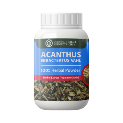 acanthus