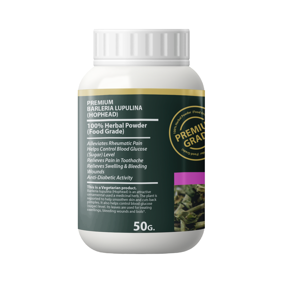 barleria lupulina ซ้าย barleria lupulina ซ้าย