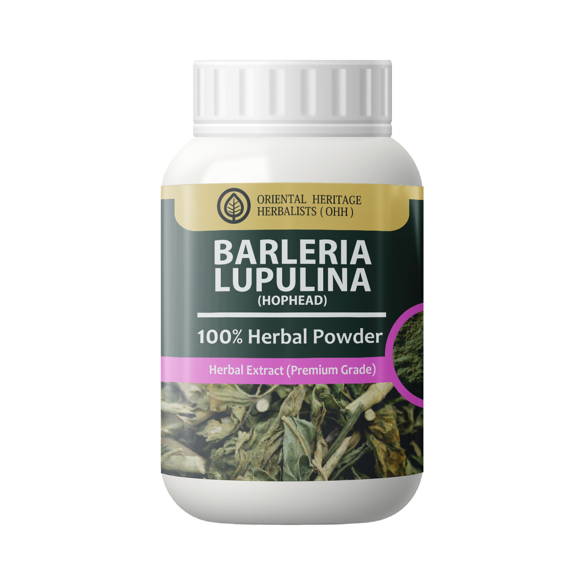 barleria barleria lupulina powder 50g