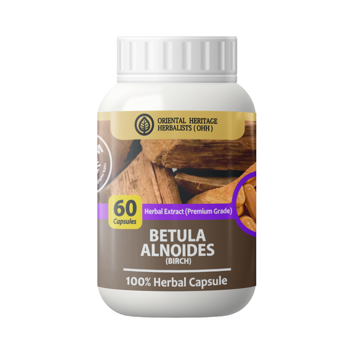 betula Betula alnoides Buch.-Ham. ex D.Don. Capsule