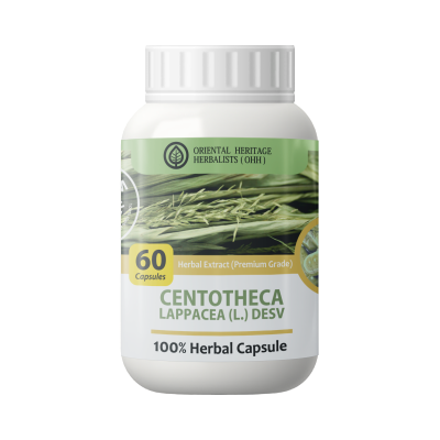Centotheca lappacea Capsule