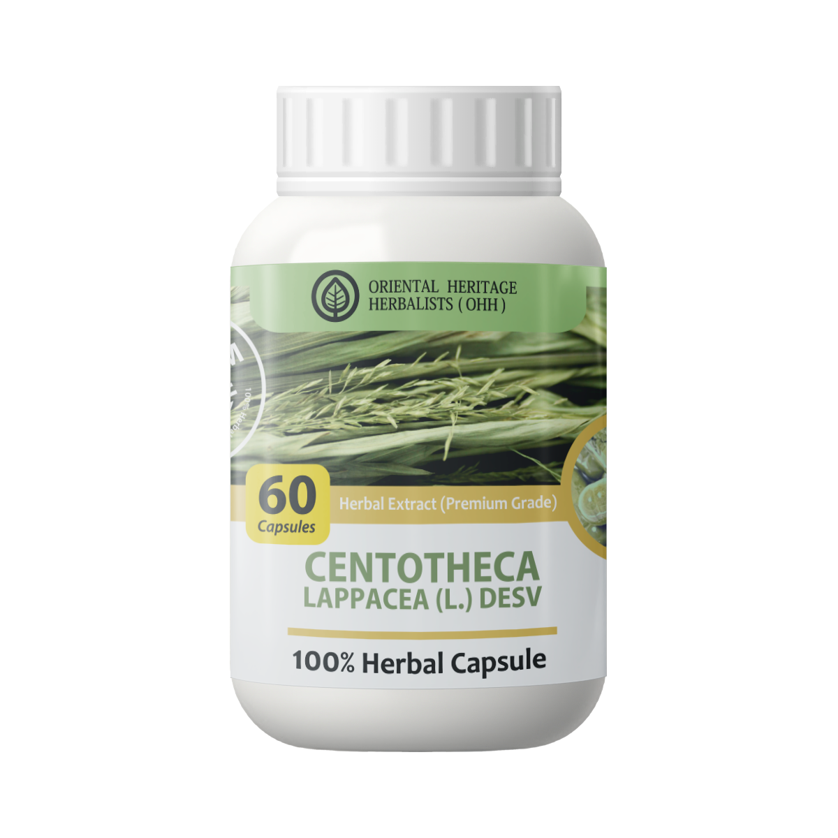 centotheca lappacea Centotheca lappacea Capsule