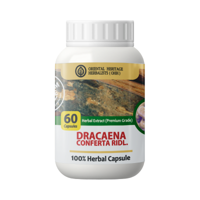 Dracaena conferta Capsule