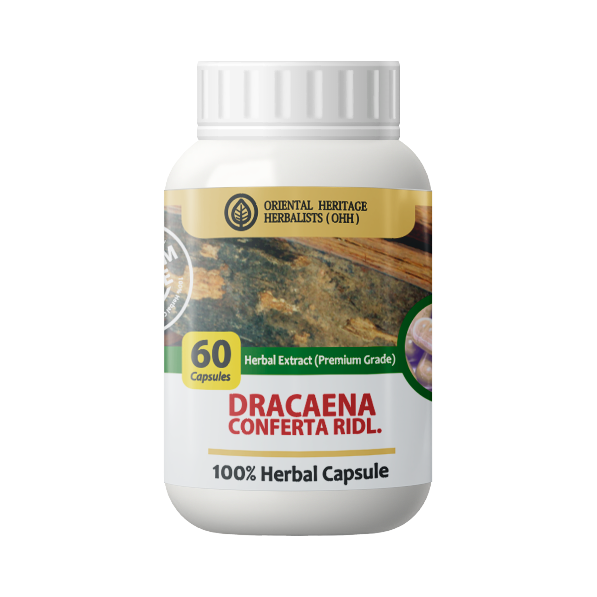 dracaena Dracaena conferta Capsule