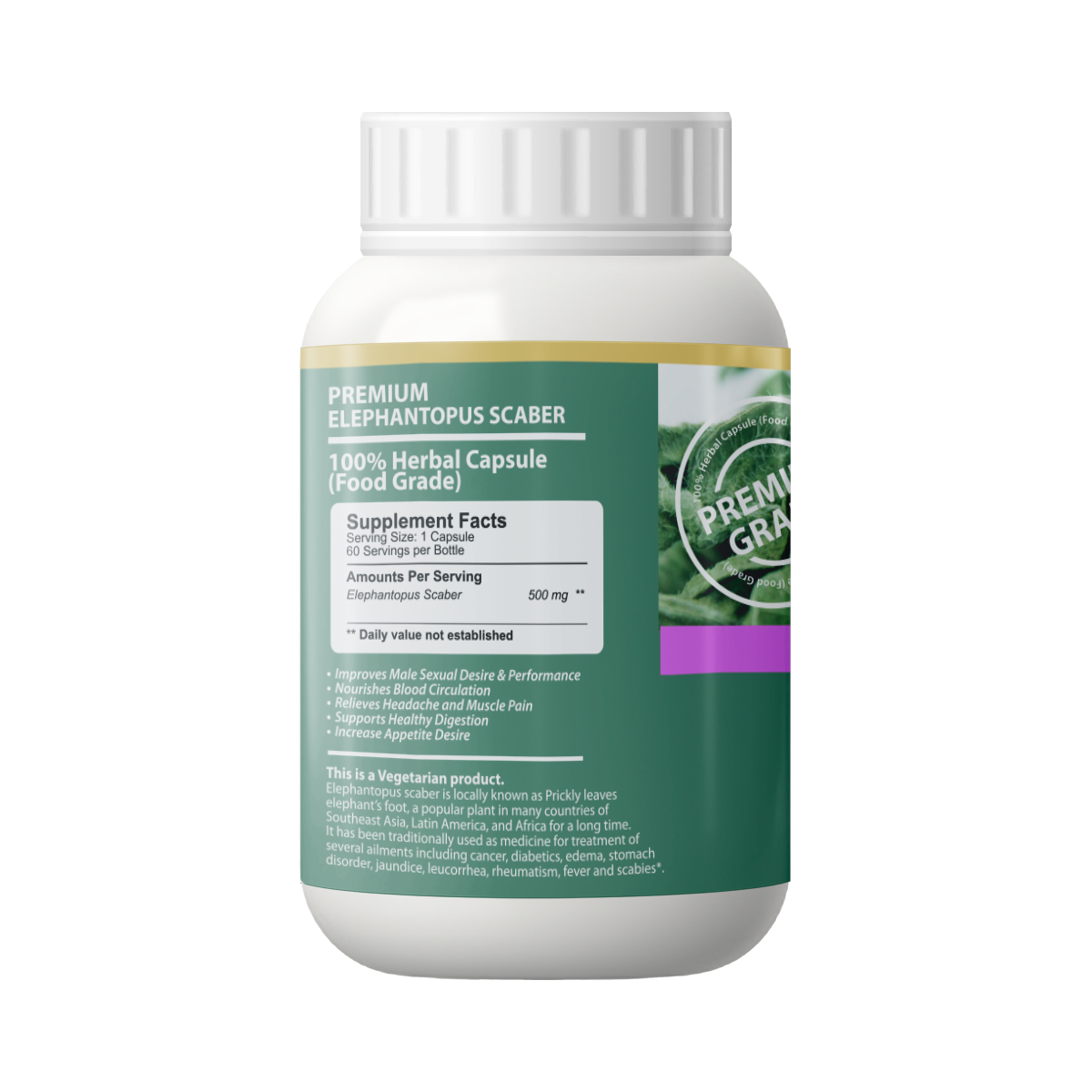 elephantopus l Elephantopus scaber Capsule l