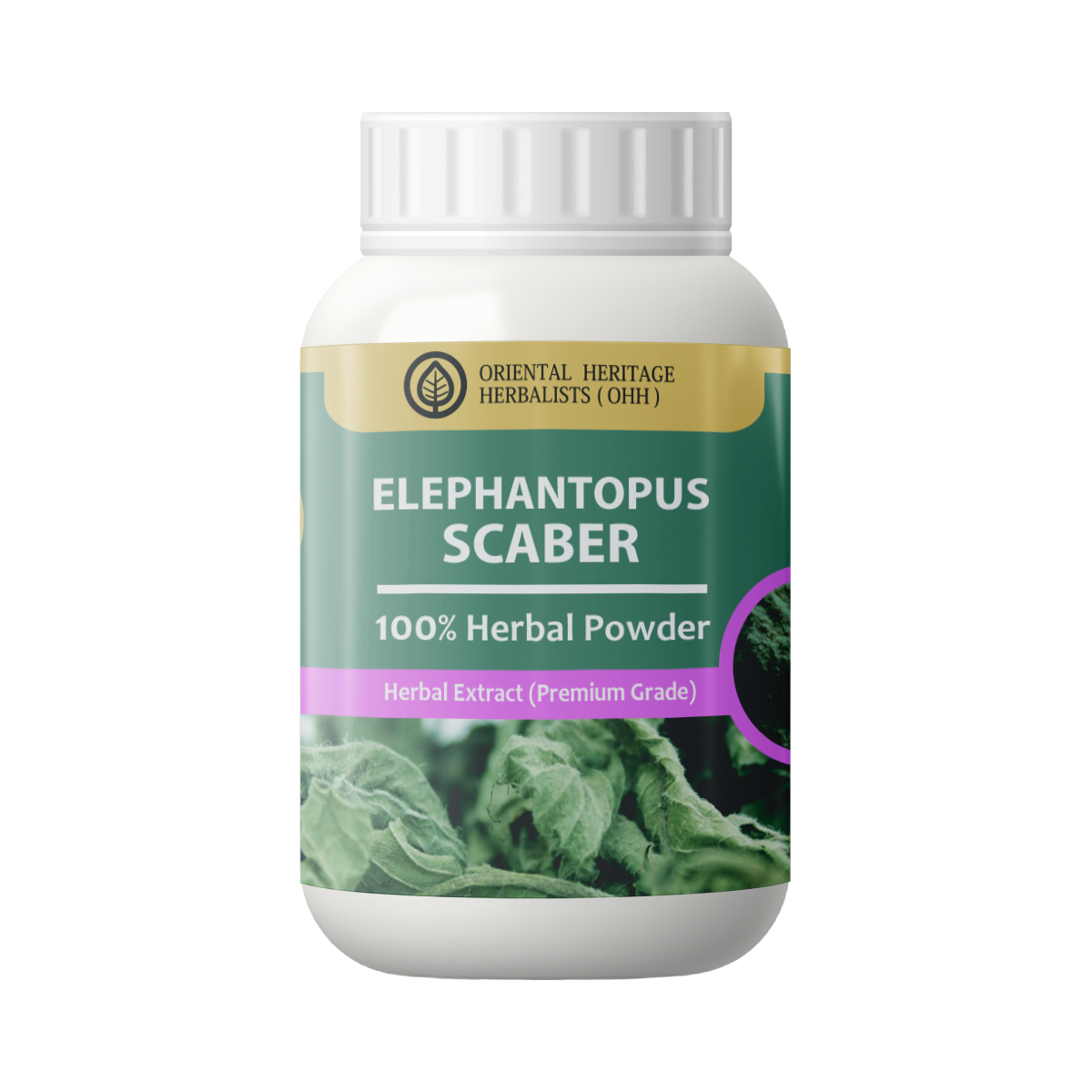 elephantopus scaber elephantopus scaber powder 50g