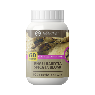 Engelhardia spicata Capsule