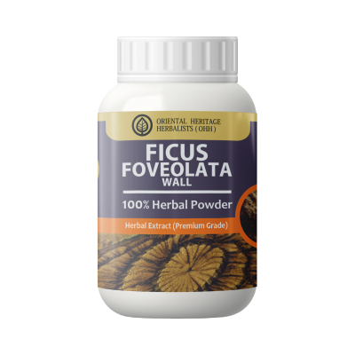 ficus foveolata wall powder 50g