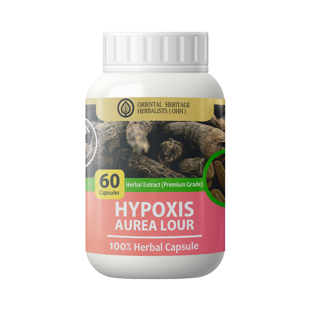 hypoxis Hypoxis aurea Lour.Capsule