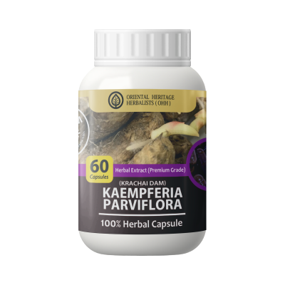 Kaempferia parviflora Capsule
