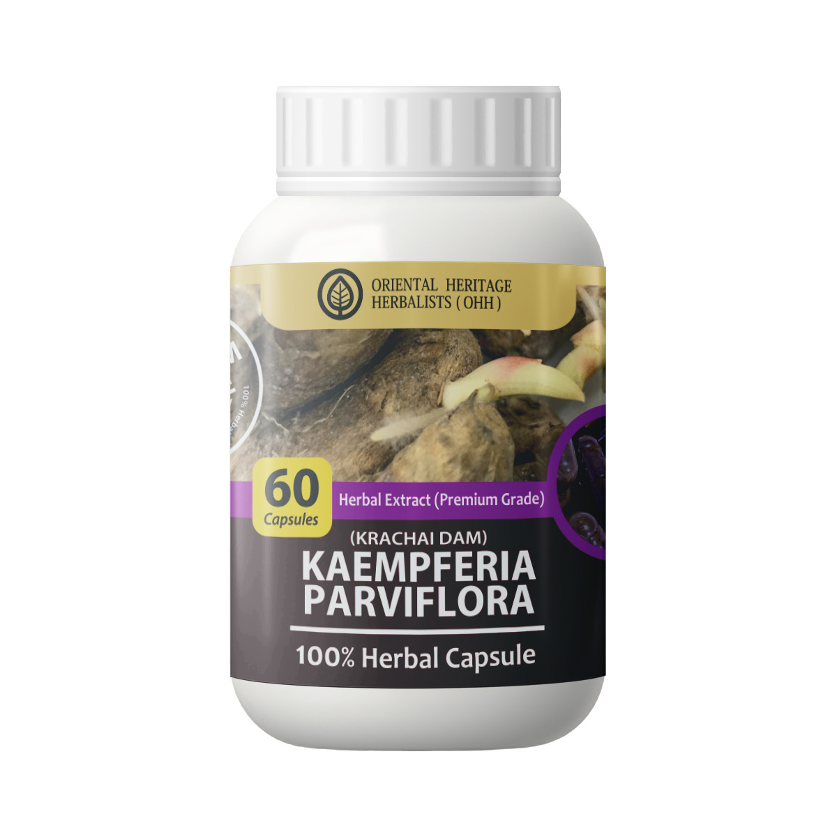 kaempferia Kaempferia parviflora Capsule