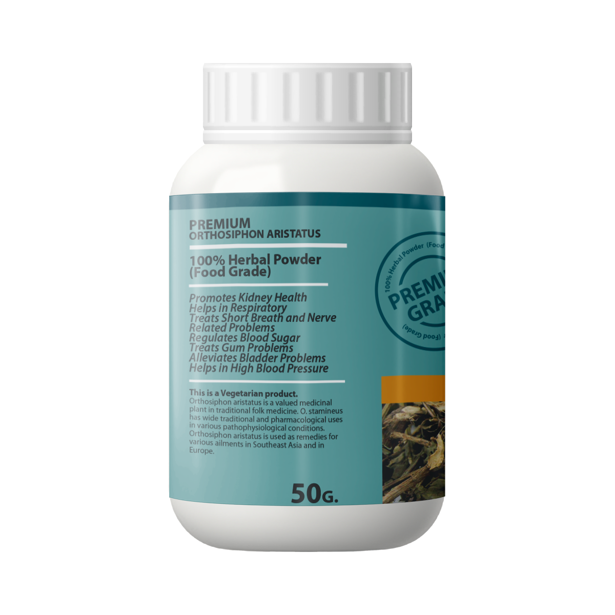 orthosiphon aristatus ซ้าย orthosiphon aristatus ซ้าย