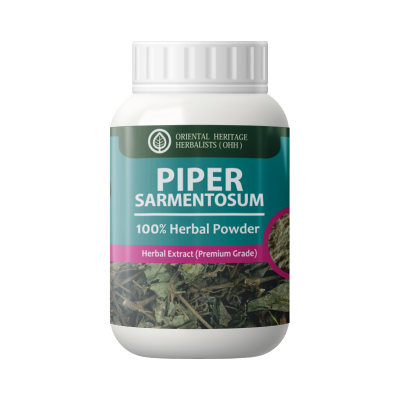 piper sarmentosum