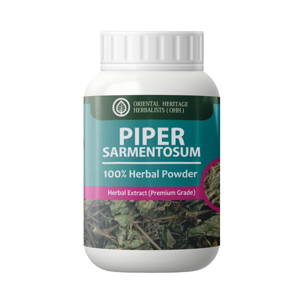 piper sarmentosum piper sarmentosum