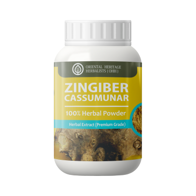 Zingiber cassumunar powder 50g