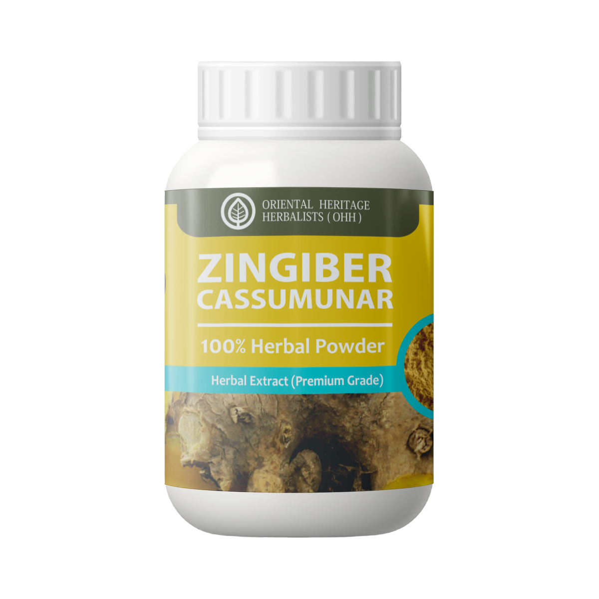 zingiber c Zingiber cassumunar powder 50g