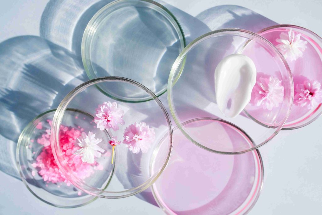 cosmetic cream and pink flowers in petri dishes 2026 03 19 23 09 59 utc (1)