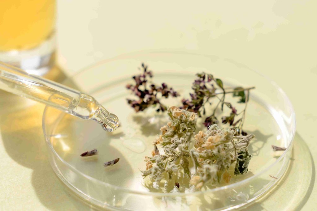 natural medicine creation in petri dish with dropp 2026 03 17 08 18 49 utc (1)