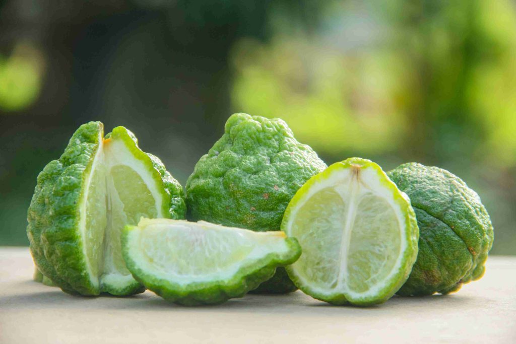 Citrus hystrix peel in oil-control hair wellness