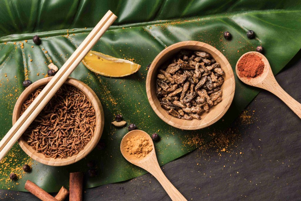 fried bugs bowls with spices monstera leaf (2) (1)