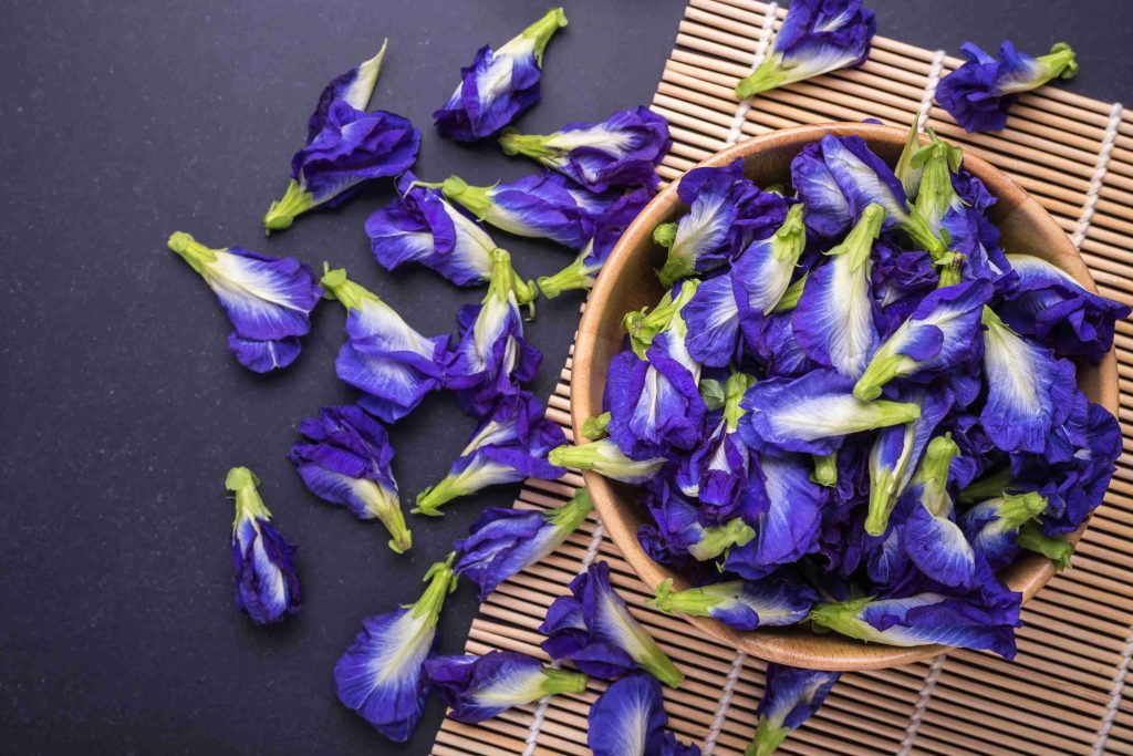 top view fresh purple butterfly pea flower black stone board (1)