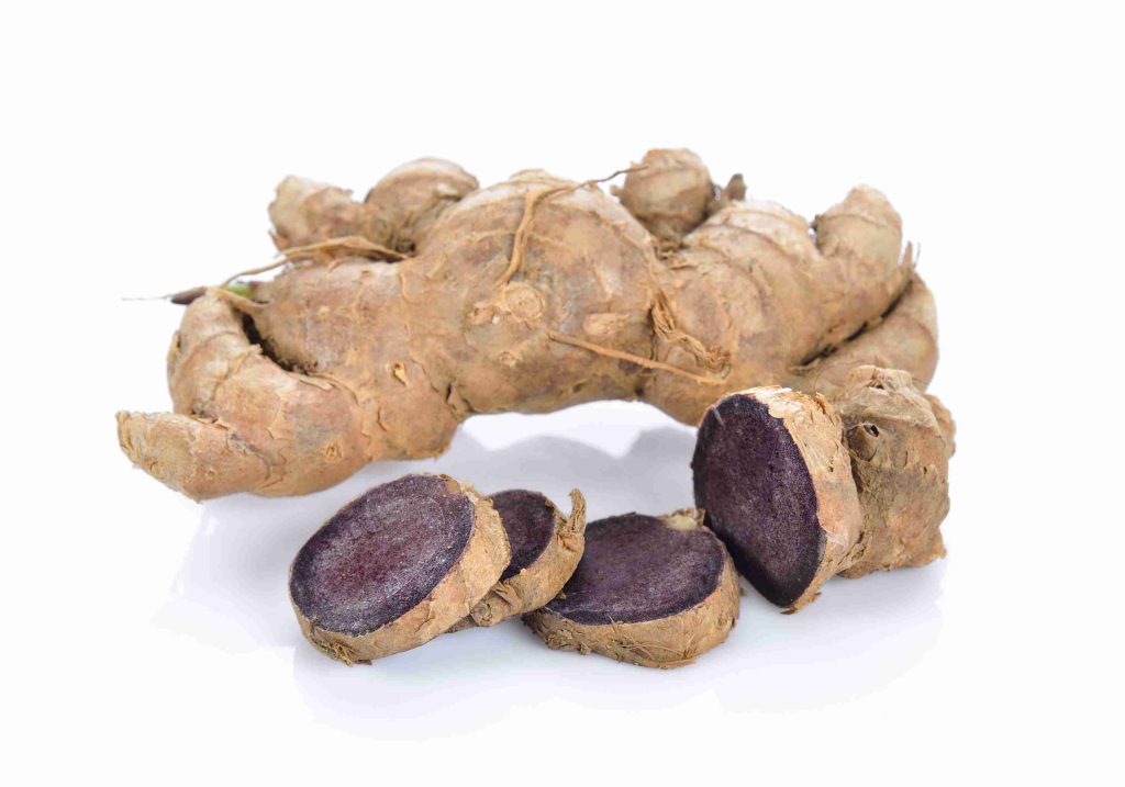 Kaempferia parviflora and intermittent fasting