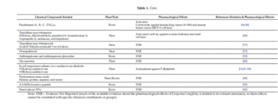 Review on a Traditional Herbal Medicine, Eurycoma longifolia Jack (Tongkat Ali) EL Study