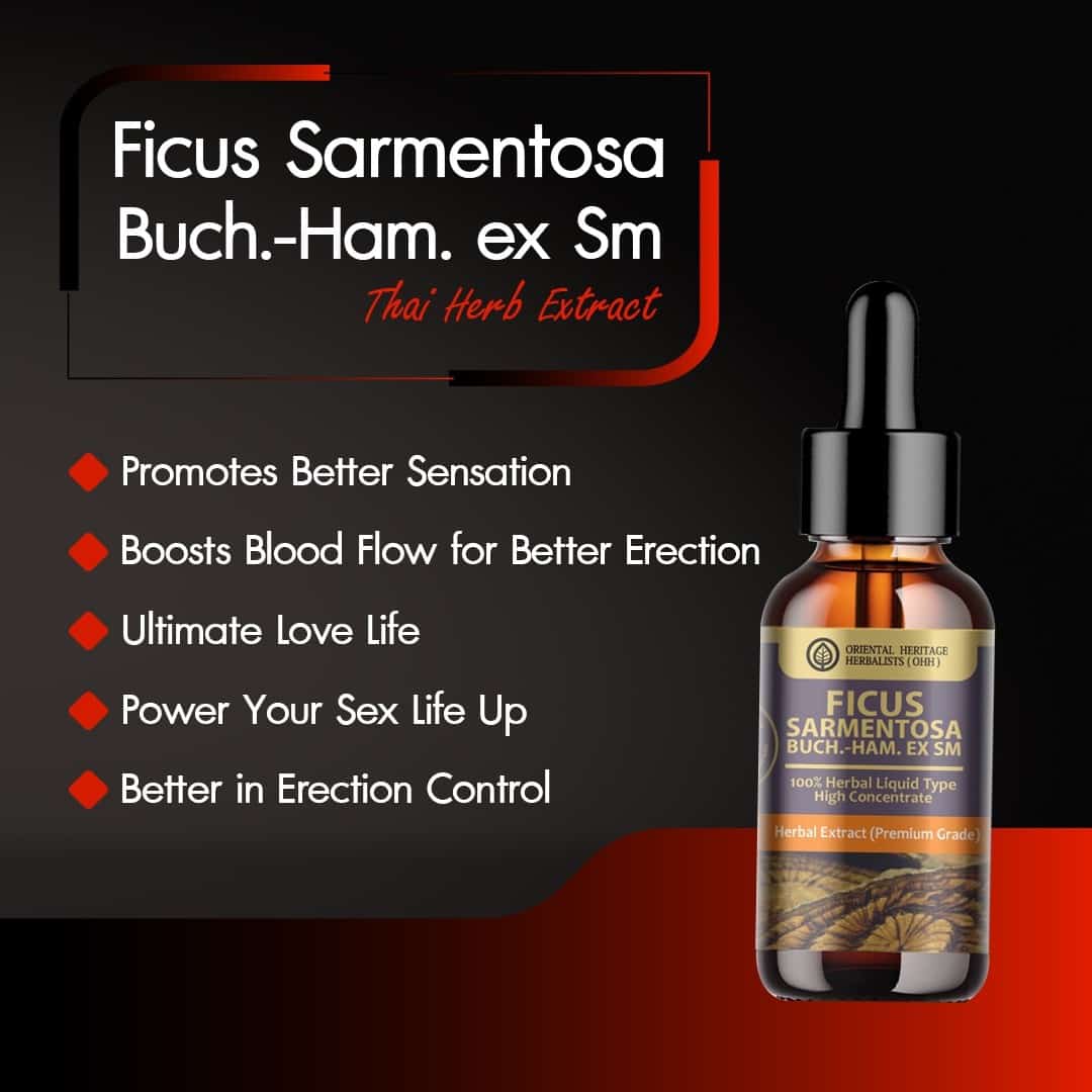 Ficus foveolata Wall Herbal Extract in Liquid Type 25 ml. Ficus foveolata Wall Herbal Extract in Liquid Type 25 ml.