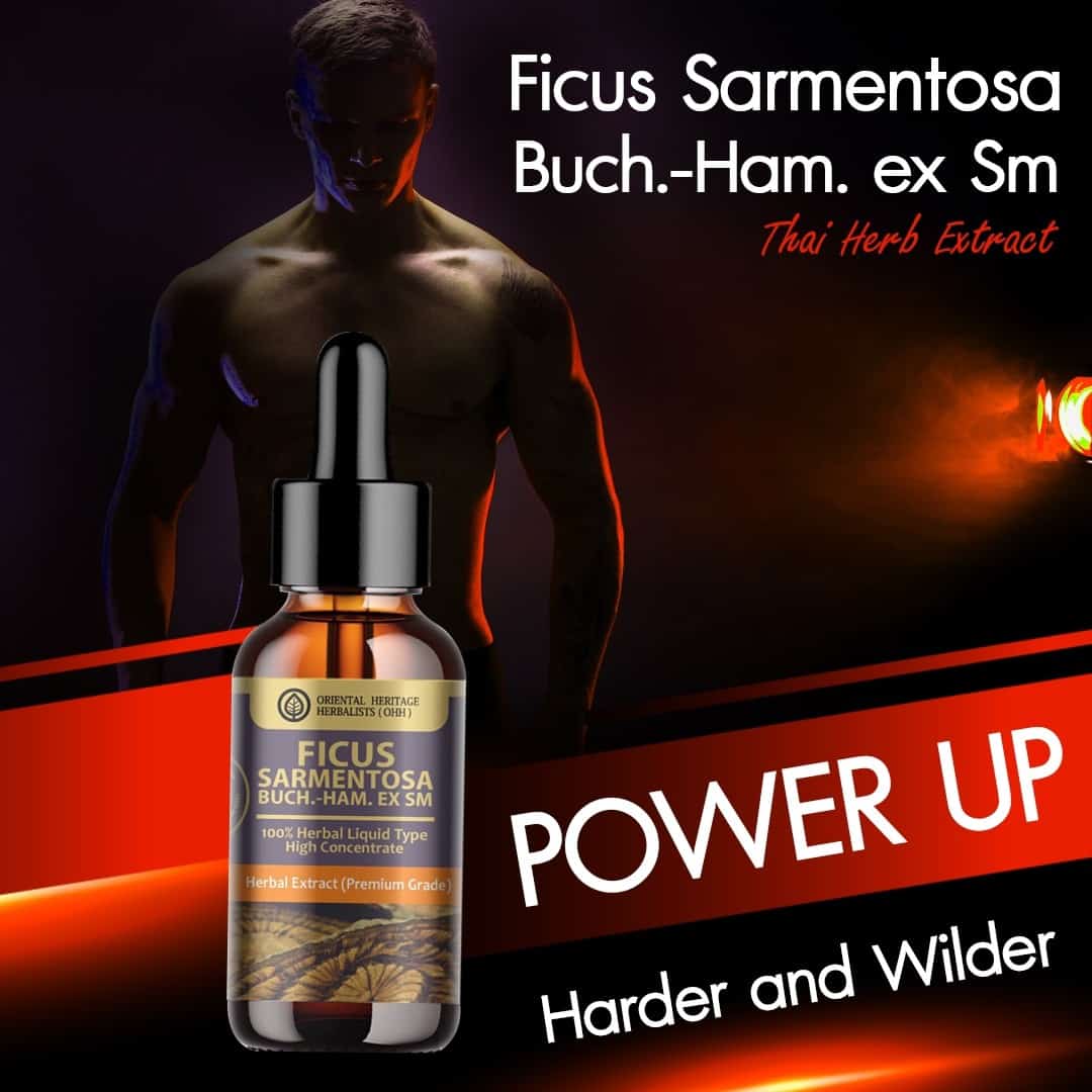 Ficus foveolata Wall Herbal Extract in Liquid Type 25 ml. 4 Ficus foveolata Wall Herbal Extract in Liquid Type 25 ml. 4