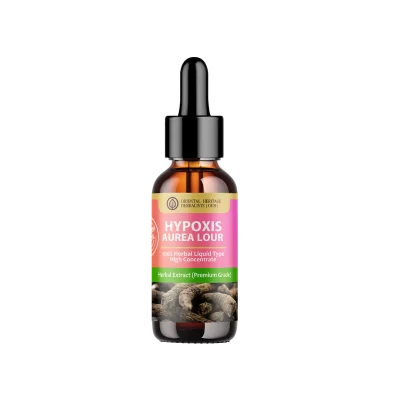 hypoxis aurea lour. liquid extract (high concentration) 25 ml