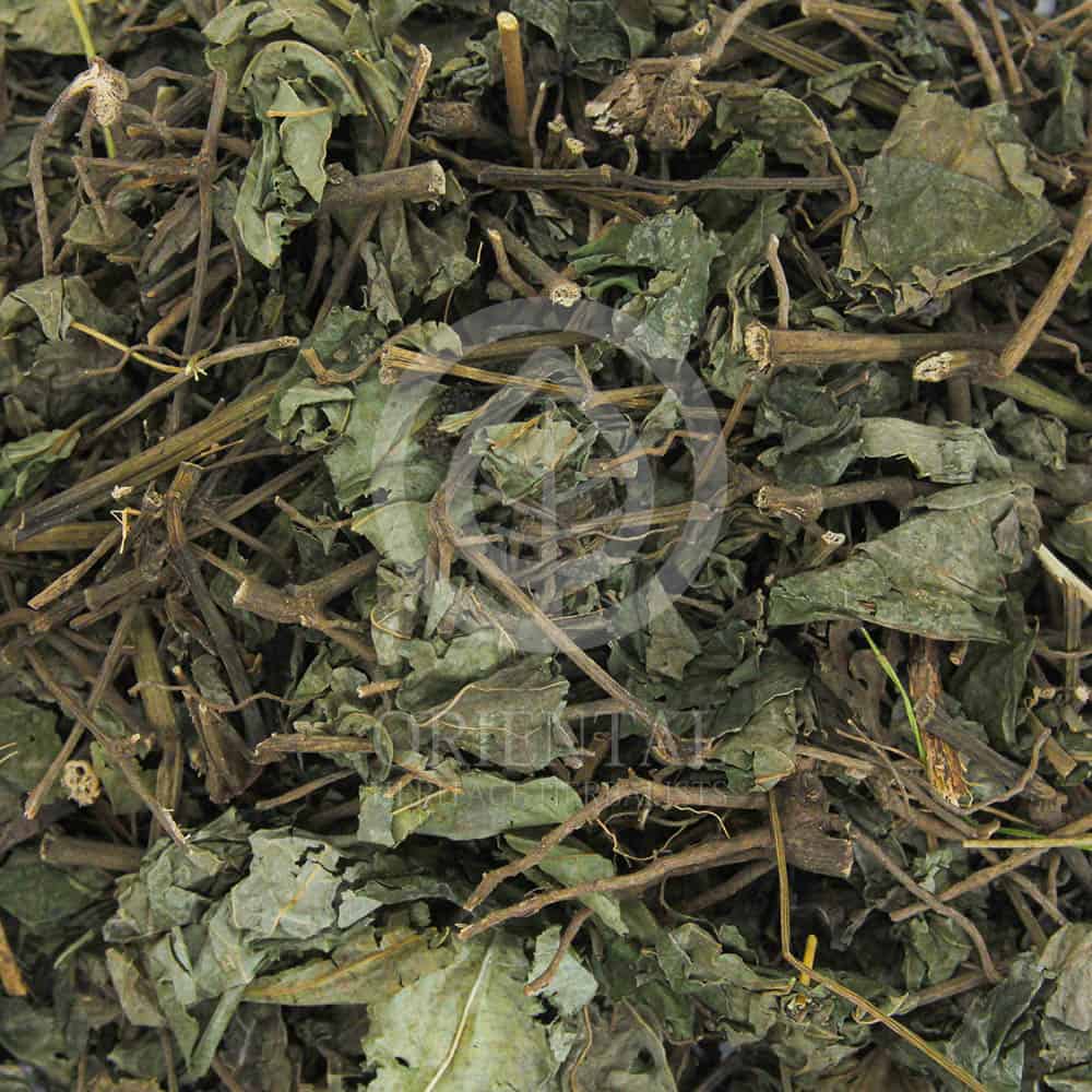 Piper sarmentosum extract Piper sarmentosum extract