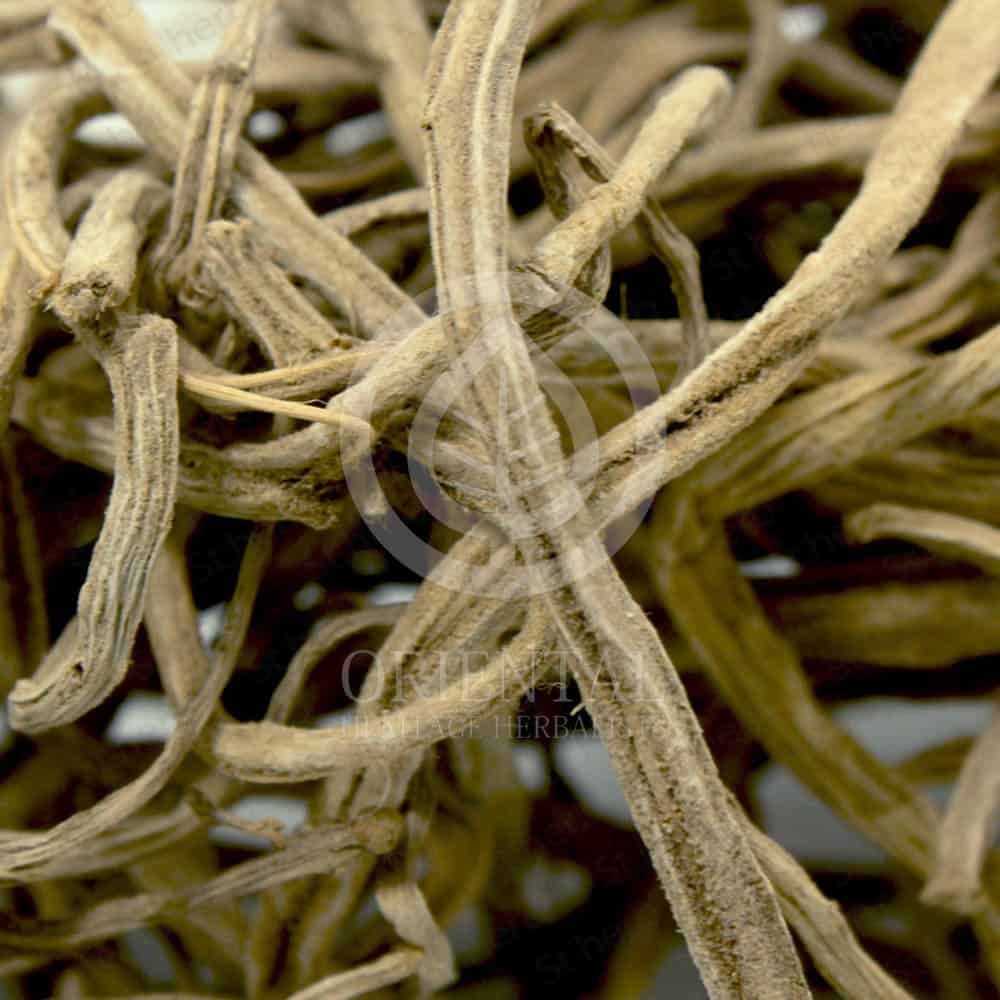 Asparagus Racemosus Willd Asparagus Racemosus Willd