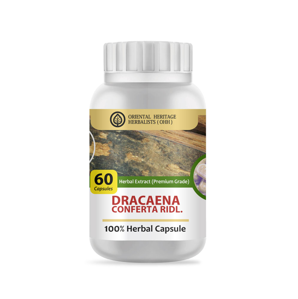 Dracaena-Conferta-herb-60 capsules Dracaena Conferta Ridl. Herb 60 Capsules (Premium Grade)