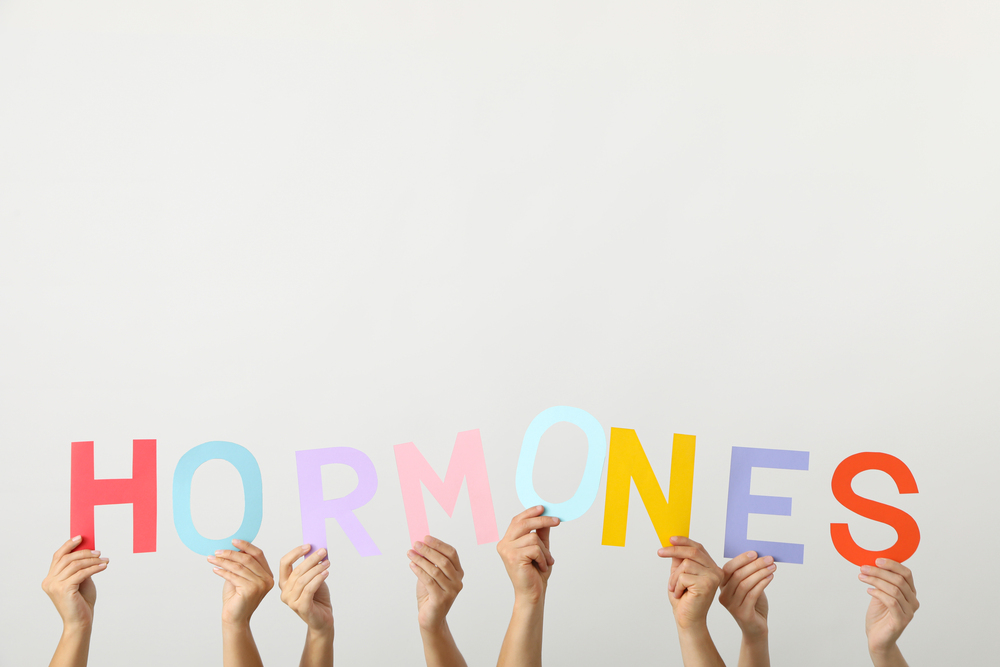 The Word Hormones In Human Hands On A Light Backg 2025 03 25 14 28 51 Utc 1
