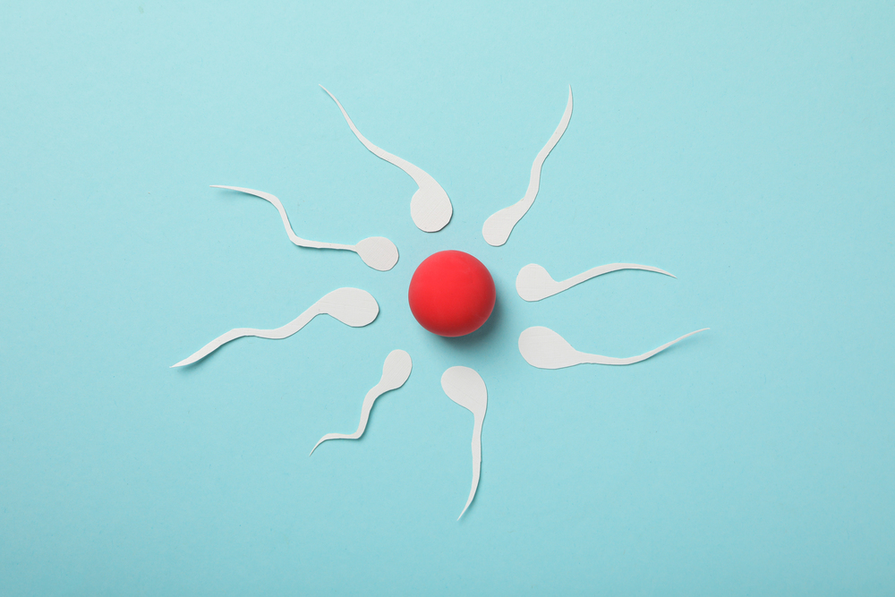 Fertilization Concept Ovulation Period Sperm And 2025 03 24 19 48 01 Utc 1