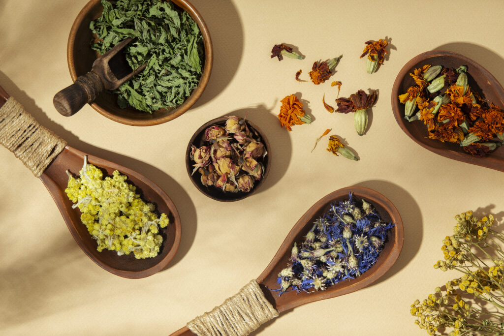Wooden Spoons With Plants Flat Lay 1024x683