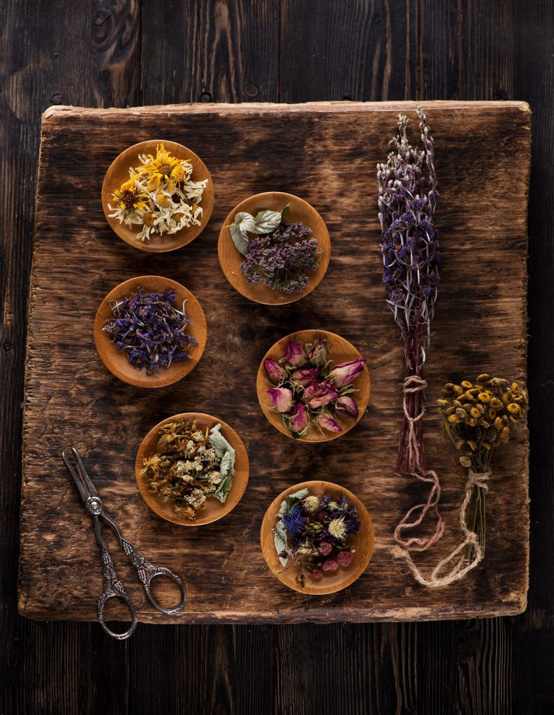 Medicinal Healing Herbs And Flowers 2025 01 08 06 23 37 Utc 1 793x1024